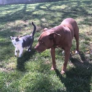 Meet your Posher, Leann